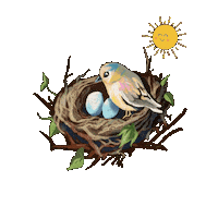 Bird Spring Sticker