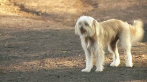 cmt GIF by I Love Kellie Pickler