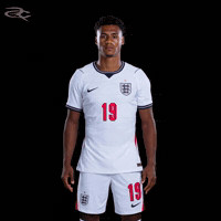 Fifa World Cup England GIF by Respective