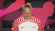 Posing Line Up GIF by Bundesliga