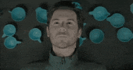 polyvinylrecords blue staring plate teacup GIF