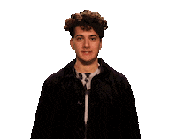 Harry Potter Hair Sticker by Schweizer Radio und Fernsehen