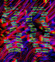 GIF by A.M.T.G. G.G.