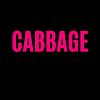 Cabbagepatchbakery cabbage cabbage patch cabbagepatch cabbage patch bakery GIF