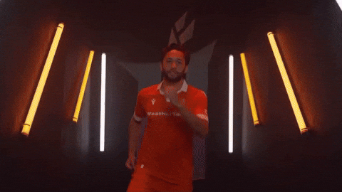 Hamilton Forge GIF by Hamilton Sports Group