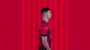 Bring It Applause GIF by AFC Bournemouth