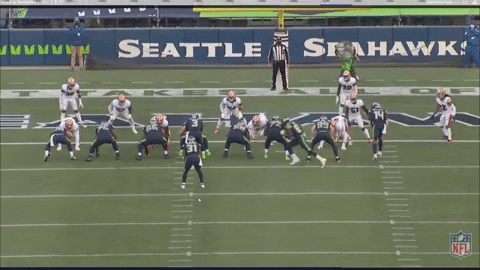 xocoveza giphygifmaker GIF