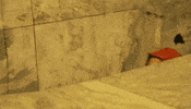 nuclear blast recordings GIF by Sepultura