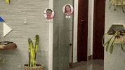 exnamtv de ferias com o ex brasil GIF by MTV Brasil