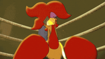 Fight Me Fight Night GIF