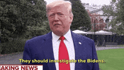 Donald Trump Impeachment GIF