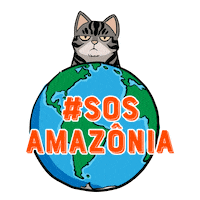 Cat Preserve Sticker