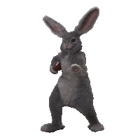 Super Bowl Football Sticker by Tubi