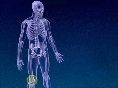 joint GIF