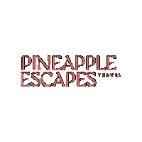 Pet2025 Sticker by pineappleescapes