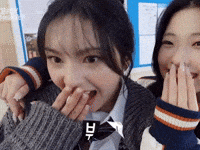 Funny Kpop GIF
