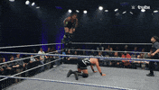 Wwe Wrestling GIF by Tubi