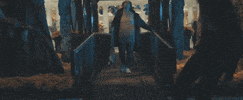 around the world and back GIF by State Champs