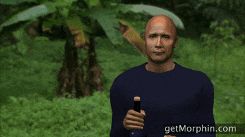 morphin cheers drinking champagne bachelor GIF