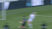 Womens Soccer Goal GIF by National Women's Soccer League