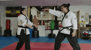 Karate Britini GIF by Big Brother