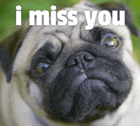 Sad Miss You GIF by Sealed With A GIF