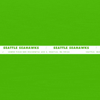 Football Nfl GIF by Seattle Seahawks