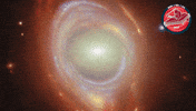 James Webb Nasa GIF by ESA Webb Space Telescope