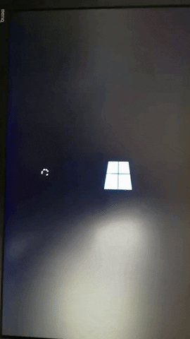 yvessterckx  GIF