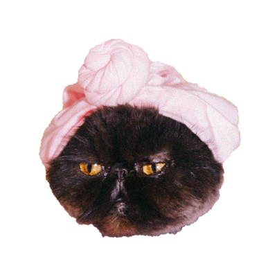 muaddibthecat cat relax bubbles bath Sticker