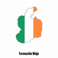 Ireland Flag GIF by Formación Ninja