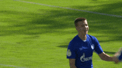 Soccer Friends GIF by FC Schalke 04
