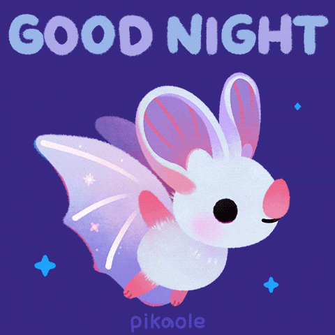 Flying Good Night GIF by pikaole