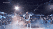Summerslam 2019 Wrestling GIF by WWE