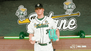 College Baseball Michael GIF by GreenWave