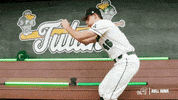 College Baseball Zach GIF by GreenWave