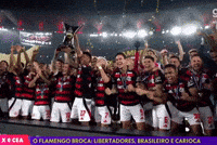 Flamengo Edite GIF