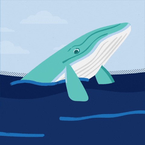 Climate Change Ocean GIF by The Pew Charitable Trusts