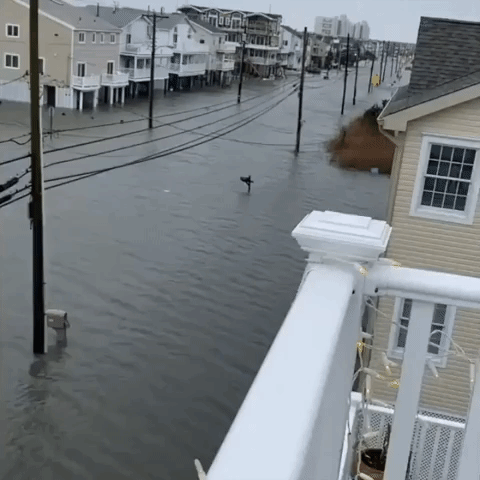'Crazy' Flooding Submerges Streets of Sea Isle City, New Jersey