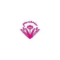 Sisterhood Pvc Sticker by Palm Valley Church