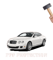 Wrap Sticker by Polor