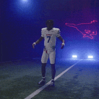 College Football Celebration GIF by SMU Football