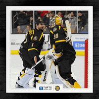 Ahlbruins GIF by Providence Bruins