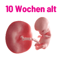 Pro-Life Mutter Sticker by sundaysforlife