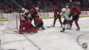 Happy National Hockey League GIF by NHL