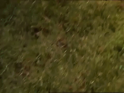 season 1 GIF