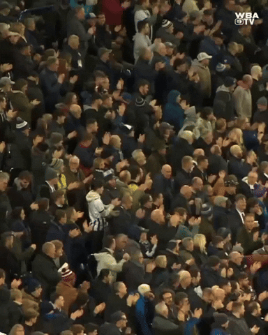 West Brom Football GIF by West Bromwich Albion