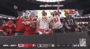 Kansas City Chiefs Football GIF by NFL