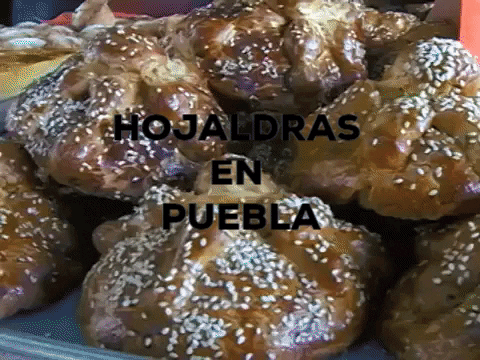 roynerisanchez giphygifmaker mexico pan pandemuerto GIF