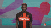 Bayer 04 Football GIF by Bundesliga